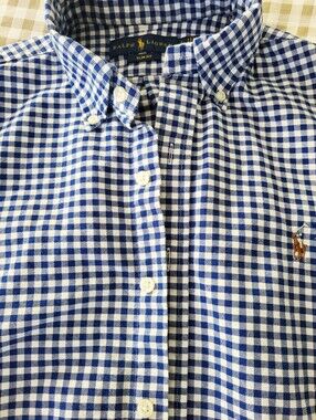 Polo Ralph Lauren Blue & White Gingham Shirt With Brown Pony Logo, Size Slim S